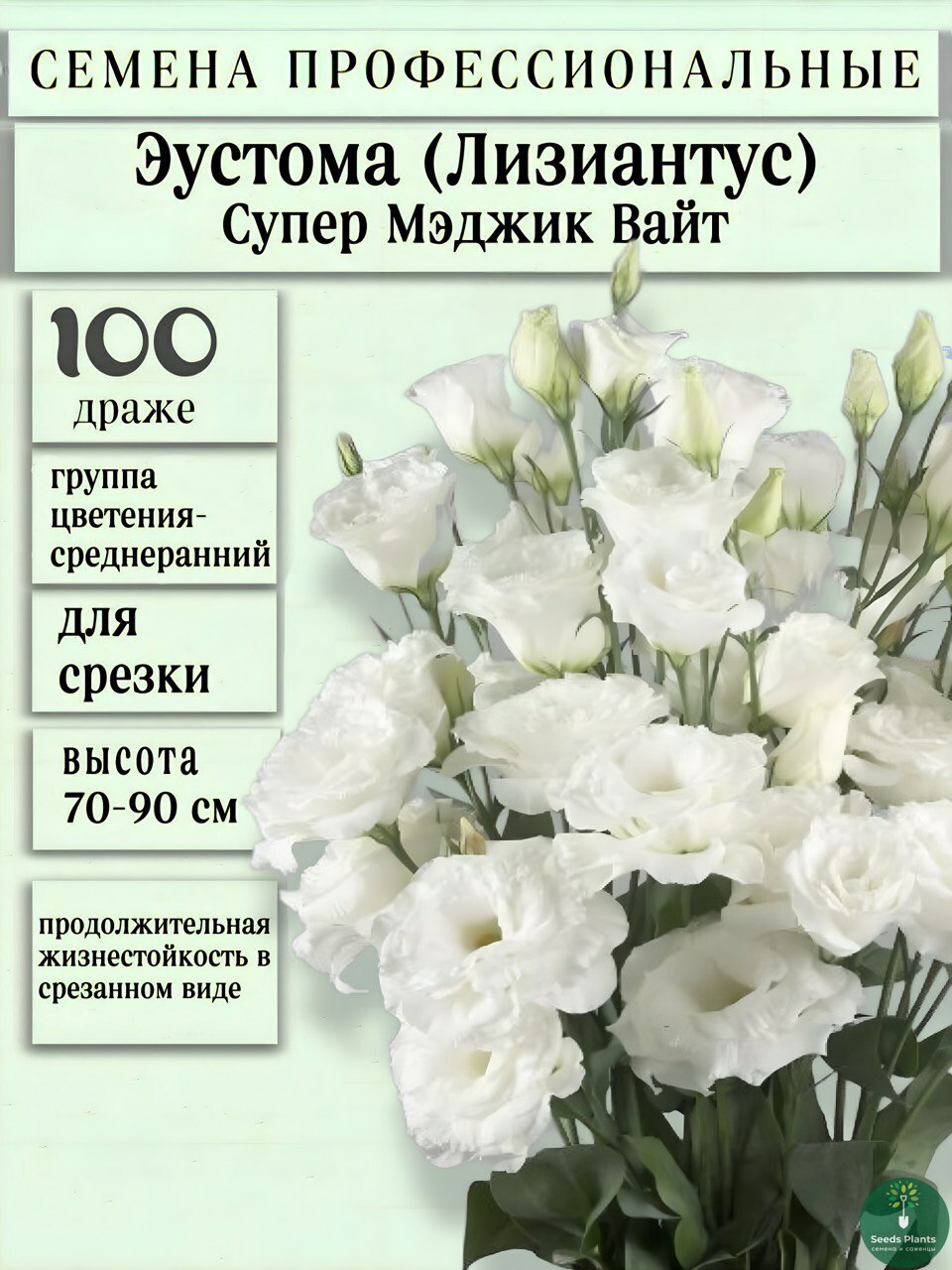 Эустома Супер Мэджик Вайт, 100 драже